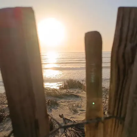 La Baie Du Biscarrosse