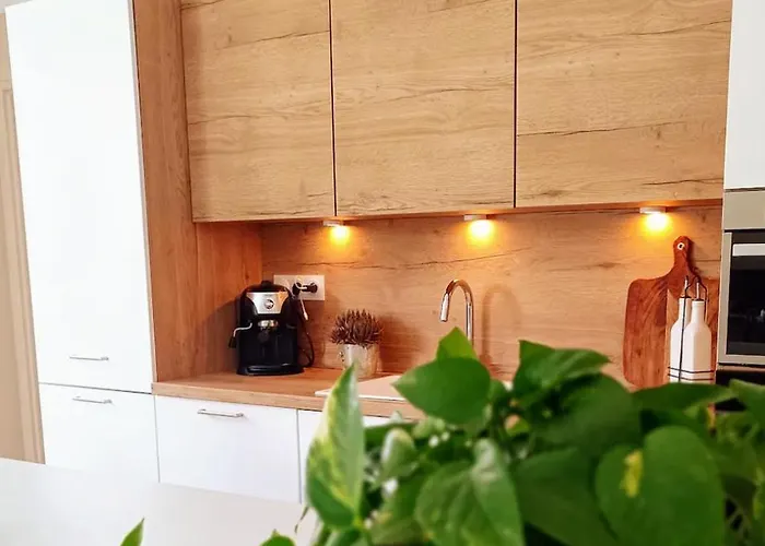 La Baie Du Villa Biscarrosse