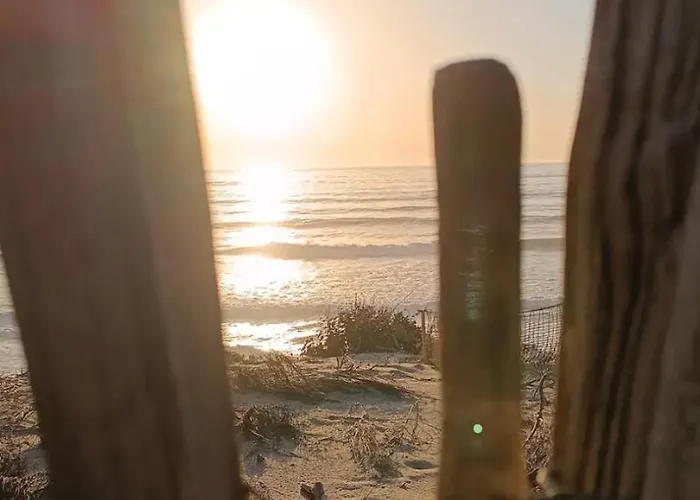 La Baie Du Biscarrosse