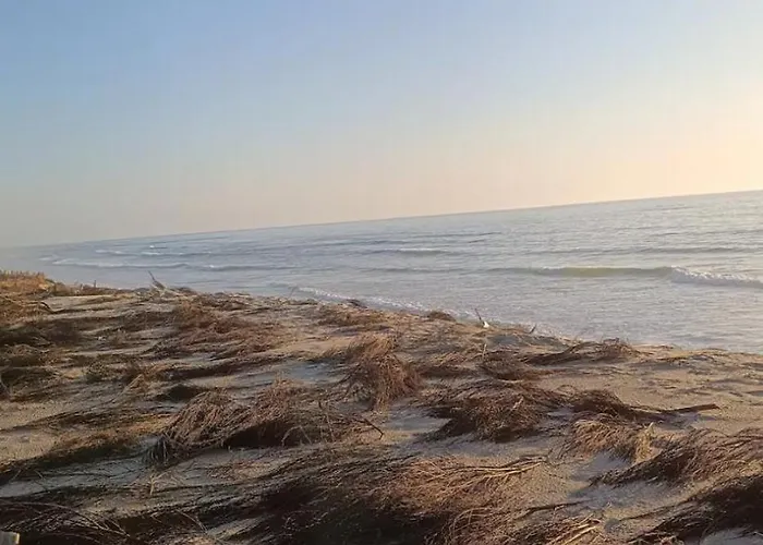 빌라 La Baie Du 비스카로세